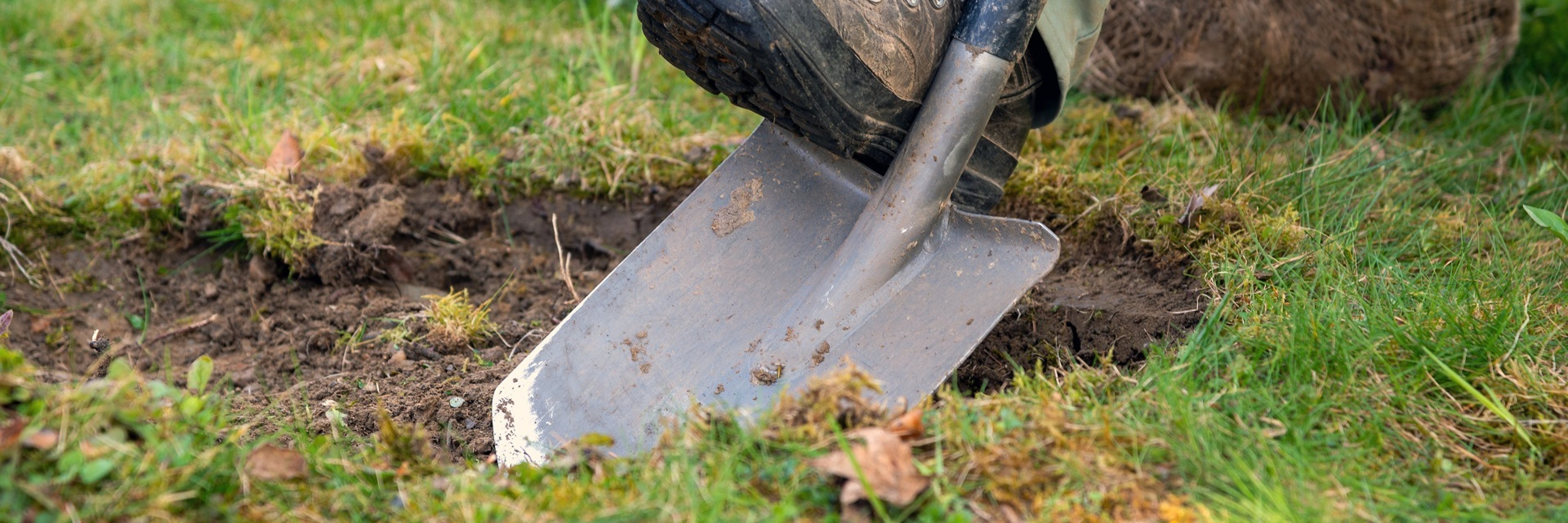 Gärtner hebt ein Pflanzloch mit einem Spaten aus