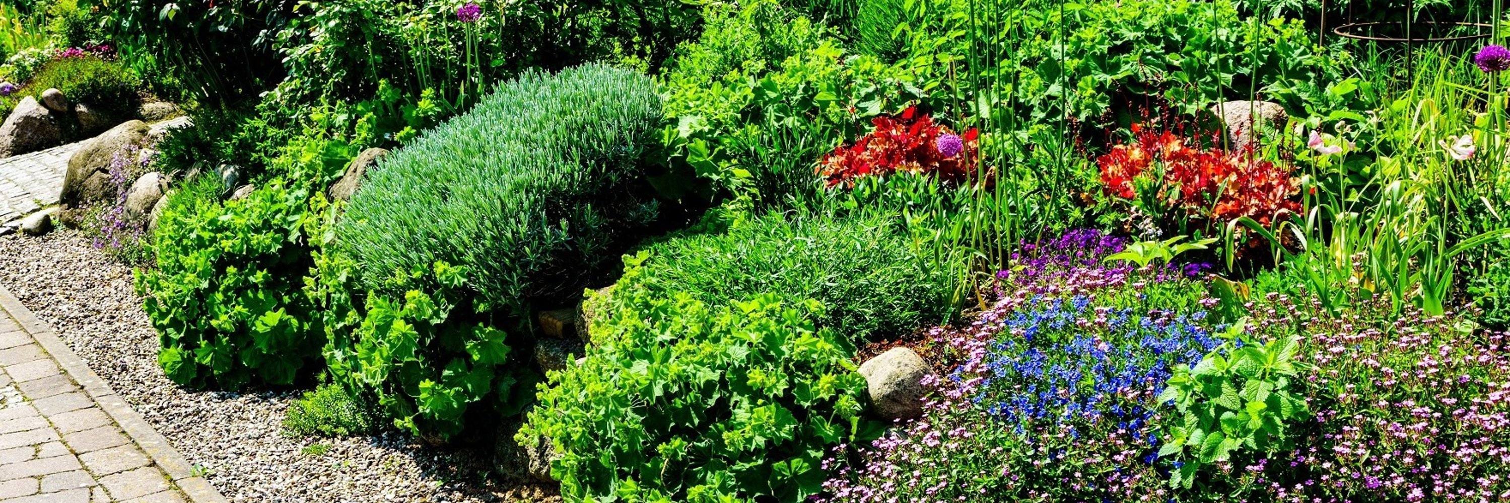 Front yard to the street