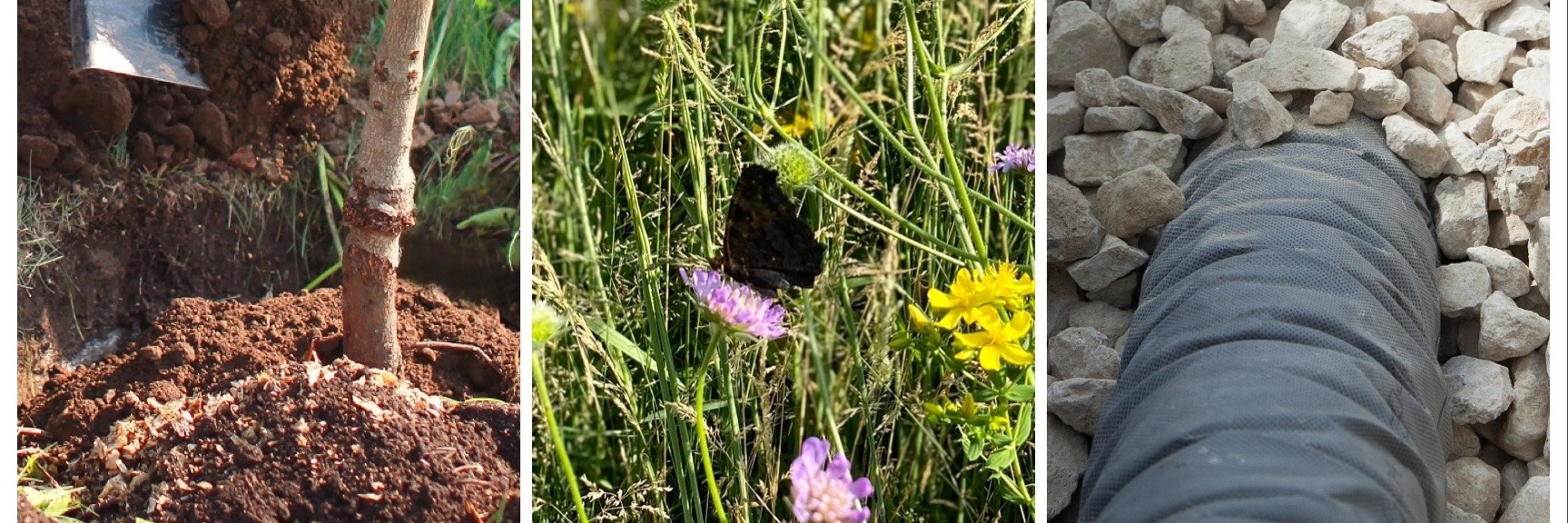 REACT-EU-Maßnahmen REACT-EU-Maßnahmen