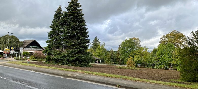 Eine nasse Hauptstraße, die durch einen Ort führt. Im Hintergrund ist eine umgefräste Rasenfläche zu sehen sowie eine hohe Tanne. 