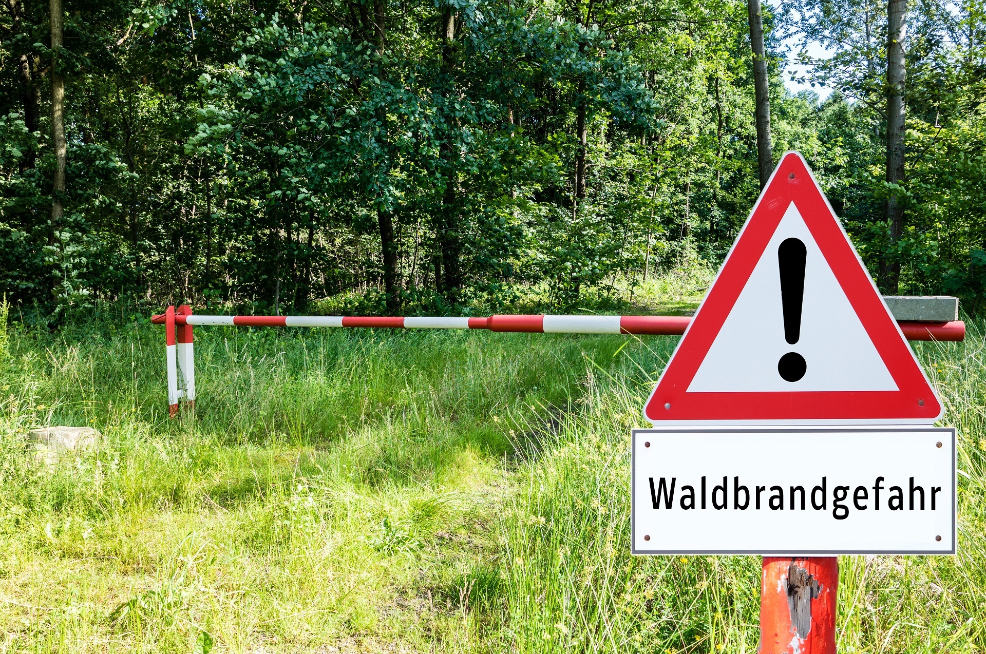 Ein Warnschild weist an einem Waldrand auf die Waldbrandgefahr hin.