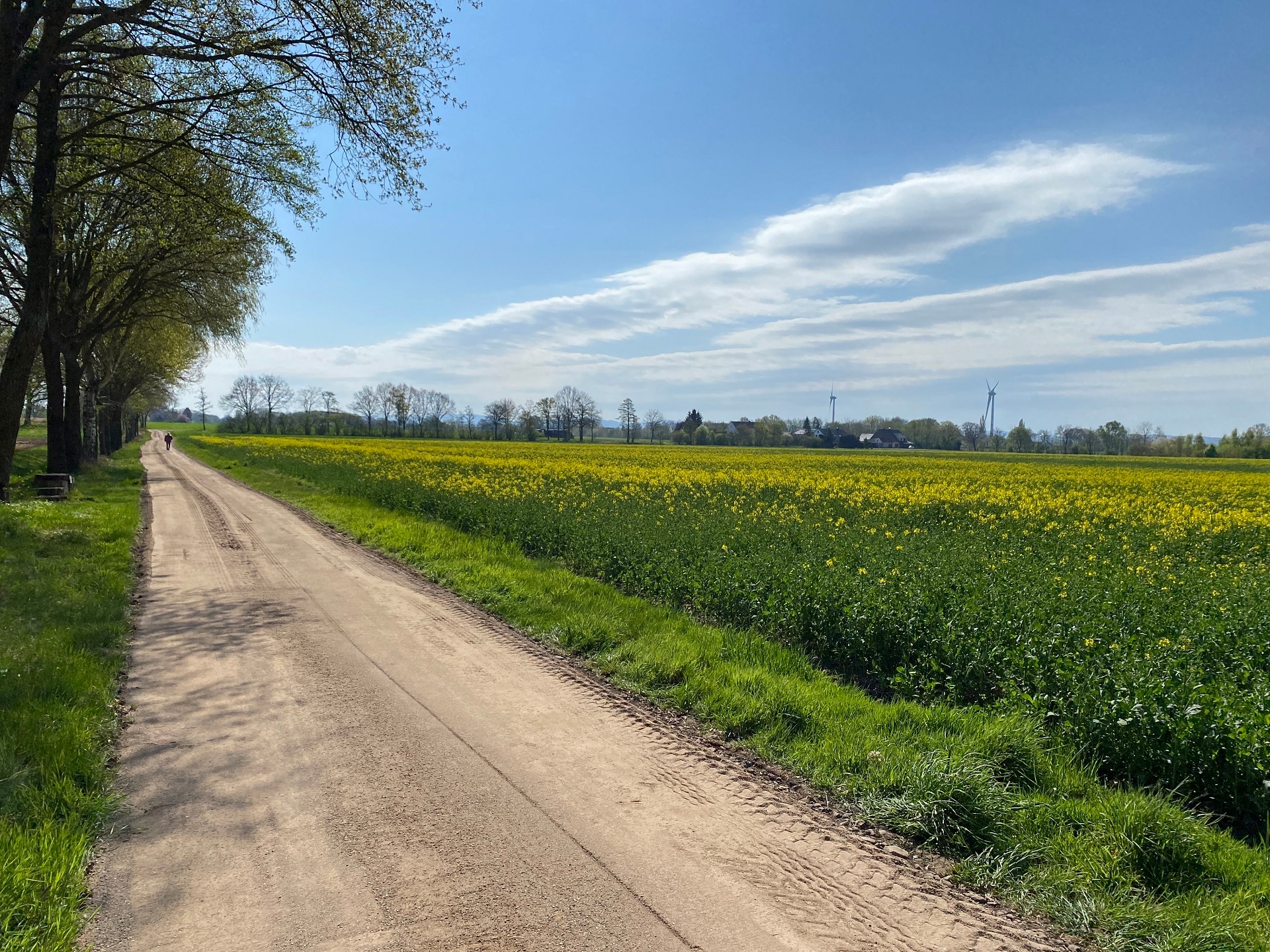 Imlage nachher Ein frisch aufgearbeiteter Feldweg.