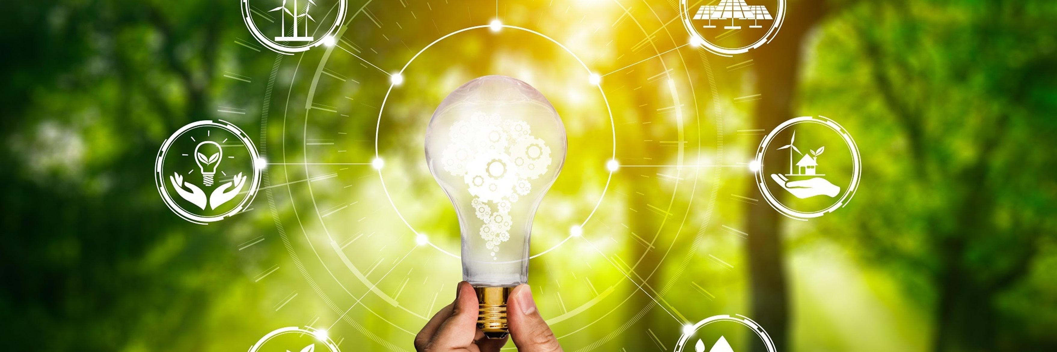 Eine Hand hält symbolische eine leuchtende Glühbirne. Im Hintergrund ist Natur zu sehen sowie verschiedene Symbolbilder, die aufs Energiesparen hindeuten. 