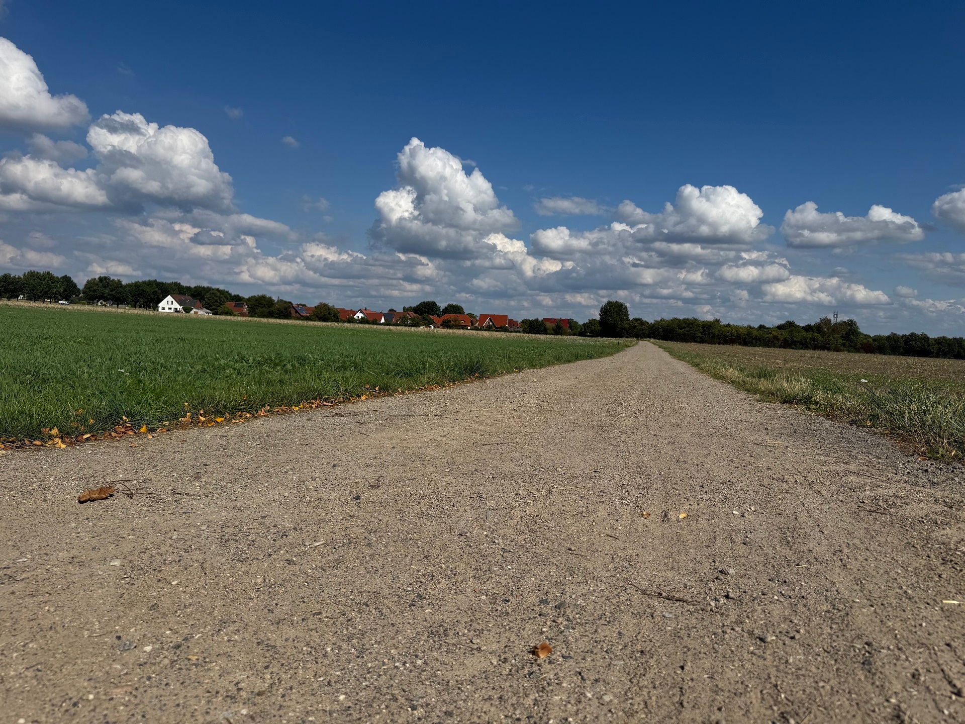 Alternativroute Wickenkamp Ein breiter, unbefestigter Feldweg führt geradeaus durch eine grüne Landschaft. Links und rechts liegen Wiesen und Felder, am Horizont sind rote Dächer und weiße Häuser eines Dorfes zu sehen. Darüber ein blauer Himmel mit großen weißen Wolken.