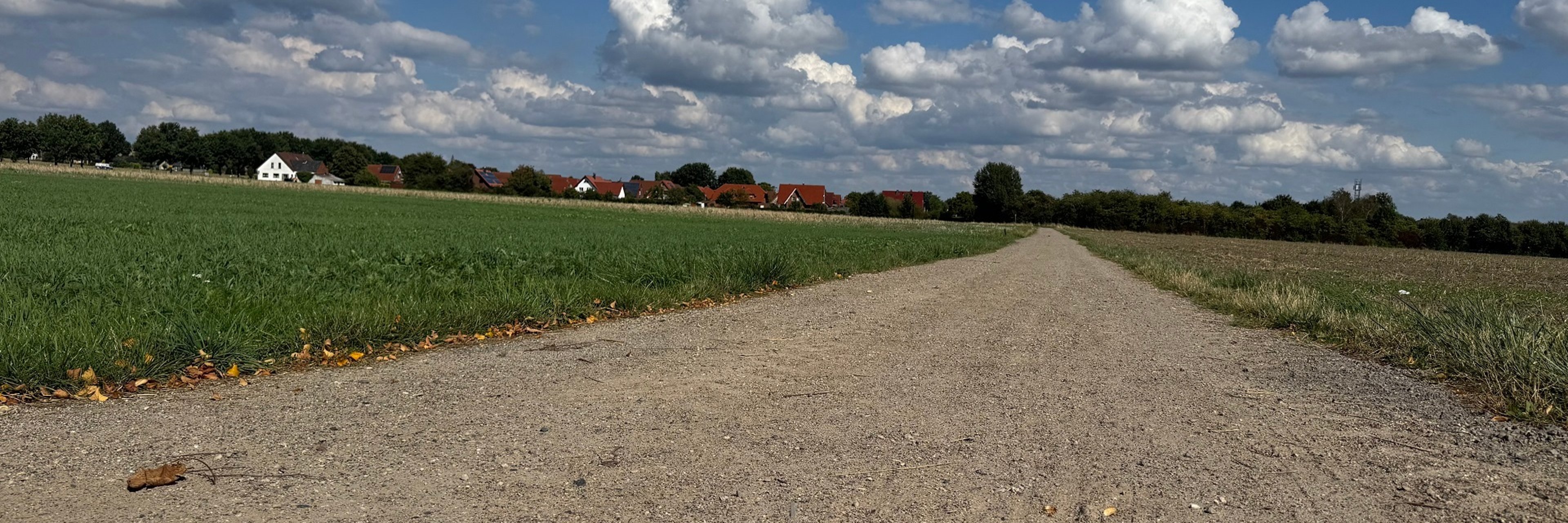 Ein breiter, unbefestigter Feldweg führt geradeaus durch eine grüne Landschaft. Links und rechts liegen Wiesen und Felder, am Horizont sind rote Dächer und weiße Häuser eines Dorfes zu sehen. Darüber ein blauer Himmel mit großen weißen Wolken.