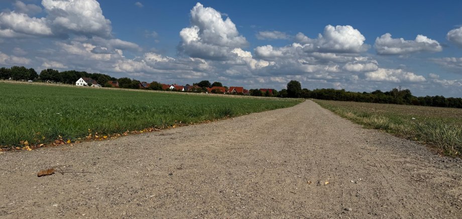 Ein breiter, unbefestigter Feldweg führt geradeaus durch eine grüne Landschaft. Links und rechts liegen Wiesen und Felder, am Horizont sind rote Dächer und weiße Häuser eines Dorfes zu sehen. Darüber ein blauer Himmel mit großen weißen Wolken.