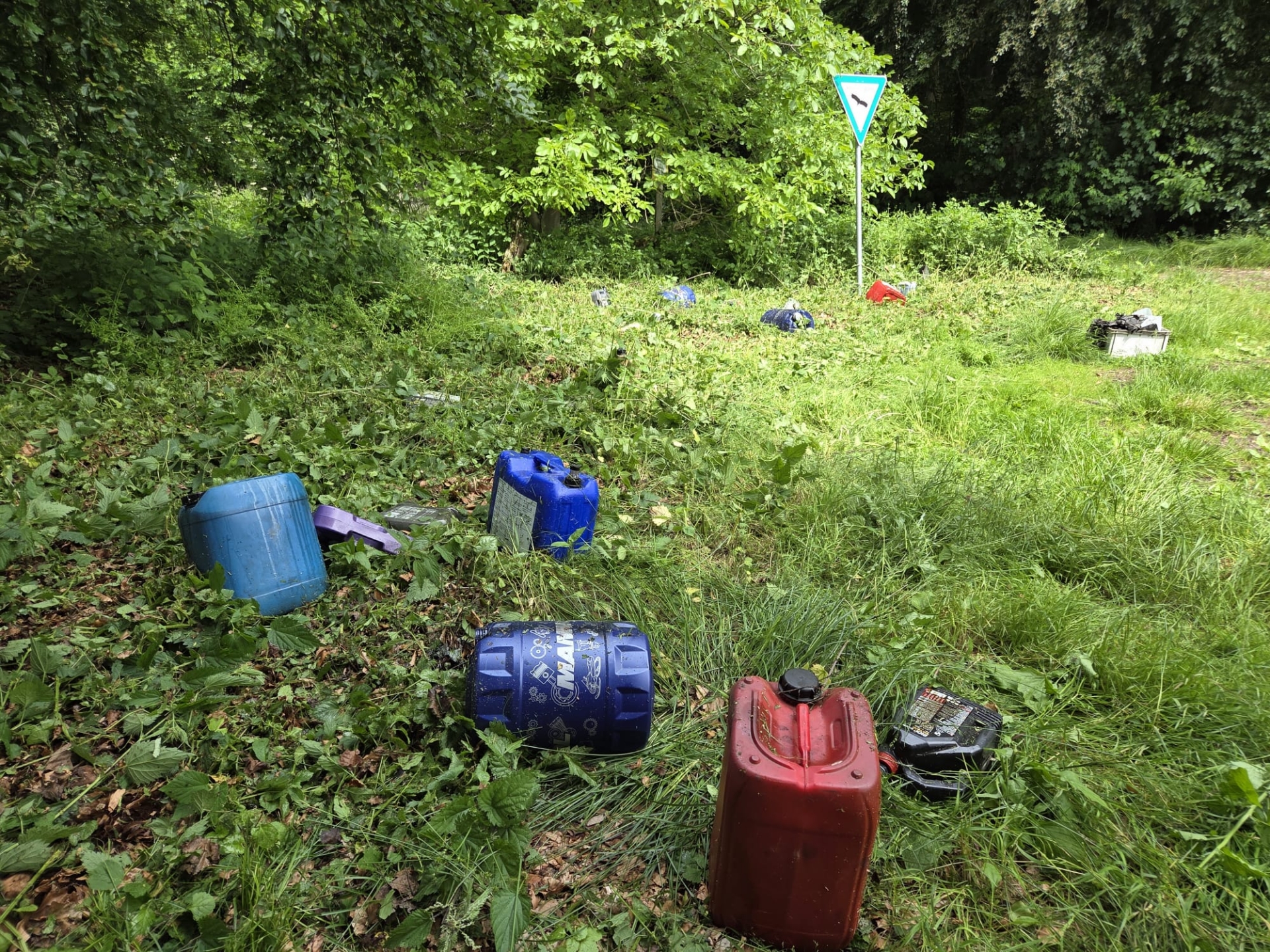 Mehrere Altölkanister und Ölbehälter liegen verstreut auf einer bewachsenen Fläche am Rand eines Naturschutzgebiets. Zwischen Gras, Brennnesseln und Sträuchern sind blaue, rote und schwarze Behälter zu erkennen. Im Hintergrund steht ein Schild, das auf das Naturschutzgebiet hinweist. Die Aufnahme zeigt die illegale Entsorgung von Altölbehältern in einem geschützten Naturbereich.